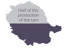 Représentation de la production granit dans le Tarn